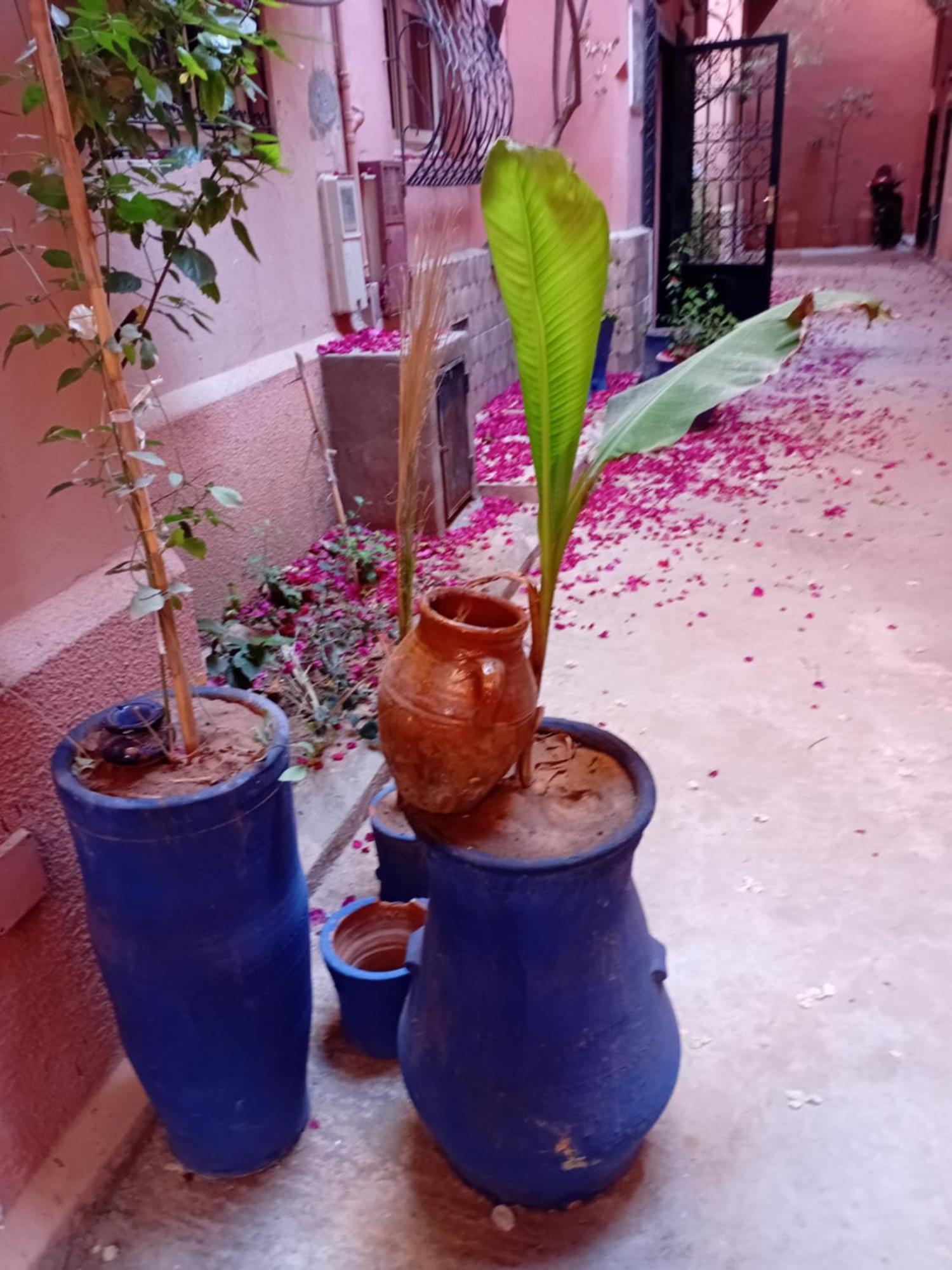 Riad Le Shams Марракеш Екстер'єр фото